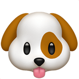 Cape Town Pet Sitter